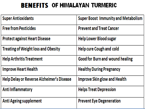 must pahadi TURMARIC